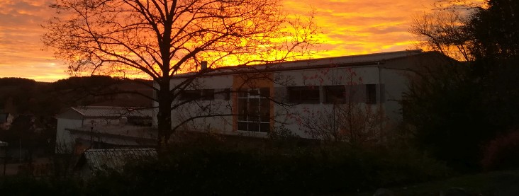 Der Frühling soll kommen!